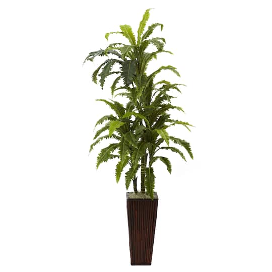 4.5ft. Dragon Tree with Bamboo Planter